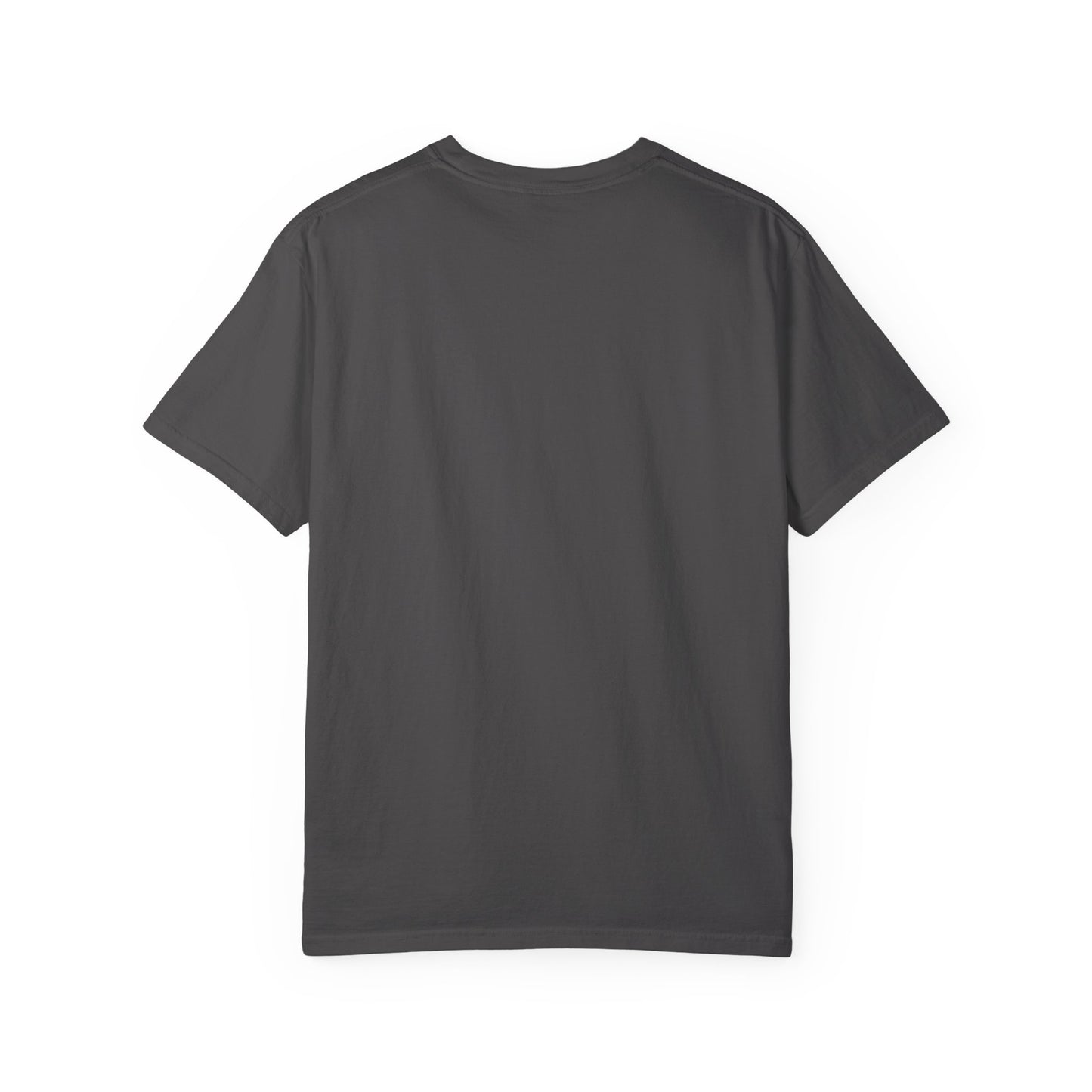 Chaos and Cuddles Cat T-Shirt: Funny Pet Lover Gift